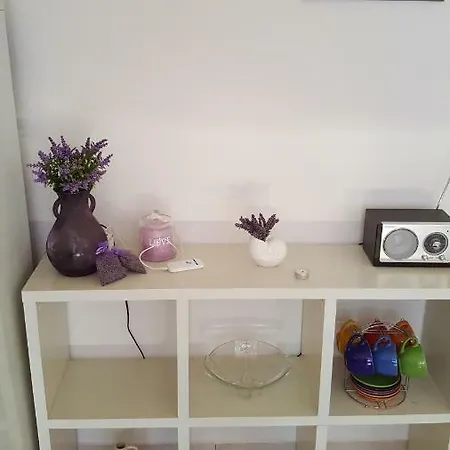 Dodo Apartment Mimice