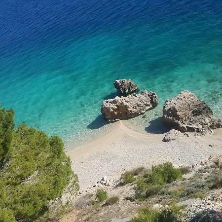 Apartament Dodo Mimice